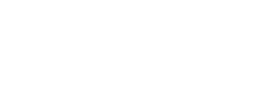 Primary Raster logo